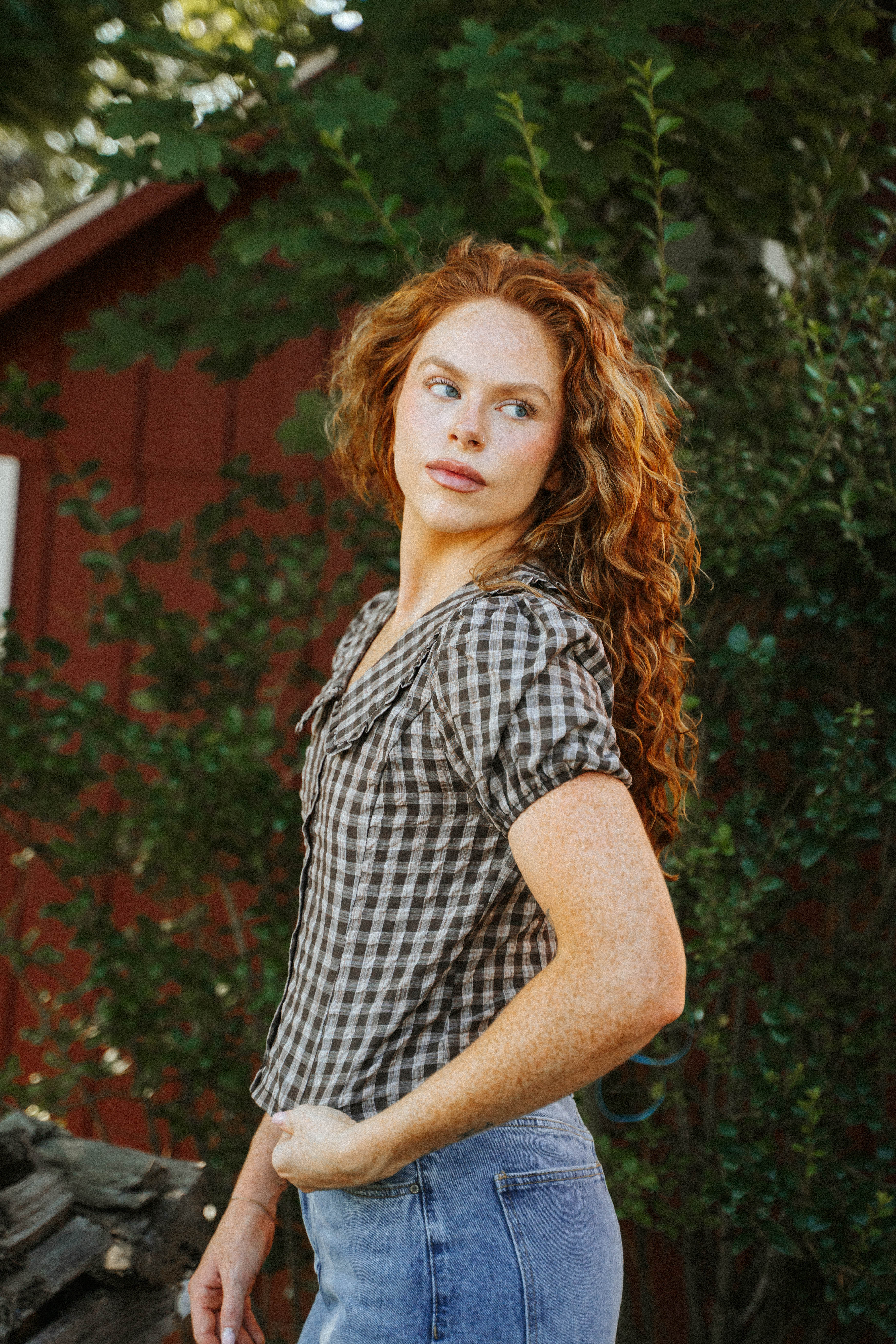 Wren Gingham Top- Chocolate