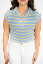 Petal Stripe Sweater Vest-Blue/Yellow