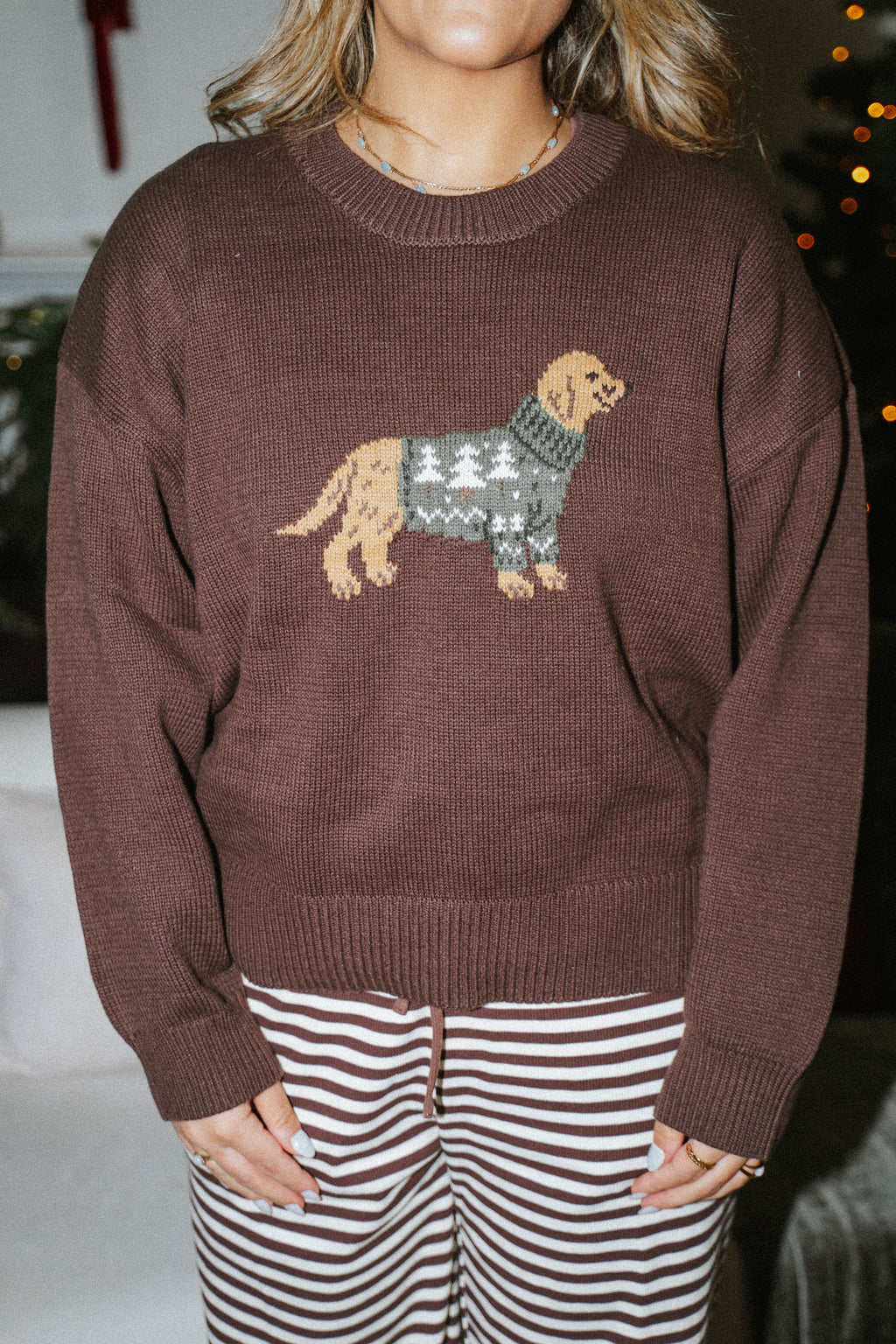 Cozy Golden Retriever Knit Sweater – Cocoa Brown